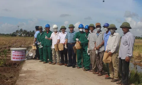 Cánh đồng không bao bì thuốc bảo vệ thực vật đảm bảo môi trường trong sản xuất nông nghiệp