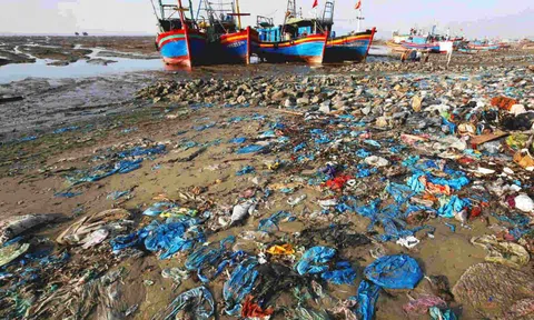 Những tác động của con người đối với môi trường biển?