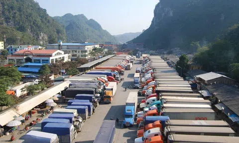 Cửa khẩu Lạng Sơn: Xuất nhập khẩu nông sản nhộn nhịp trở lại