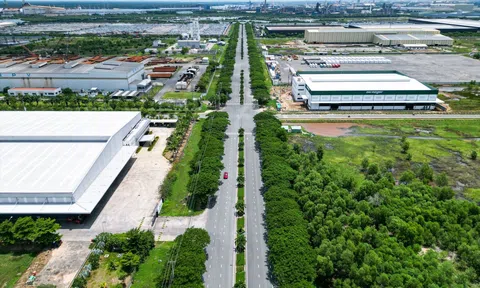 Ngành Thuế khẩn trương thực hiện giảm tiền thuê đất, thuê mặt nước năm 2022