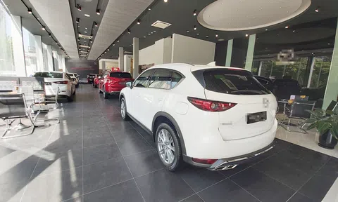 Doanh số tiêu thụ ô tô "lao dốc" không phanh, nguyên nhân vì sao?