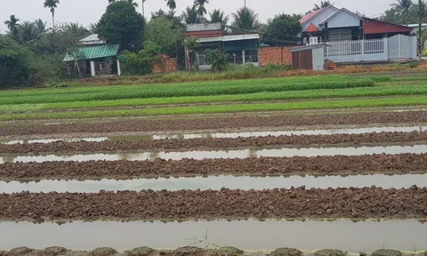 Xuất hiện mưa trái mùa tại các tỉnh Tây Nam Bộ có lợi cho sản xuất nông nghiệp