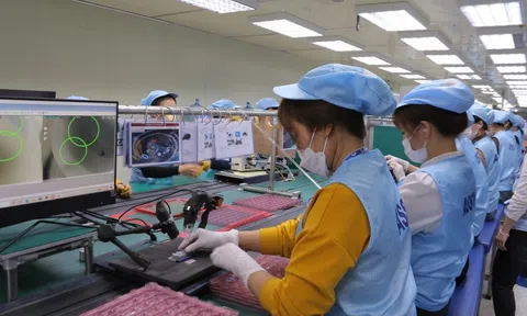 Doanh nghiệp tham gia chuyển đổi số đạt được nhiều dấu hiệu tích cực