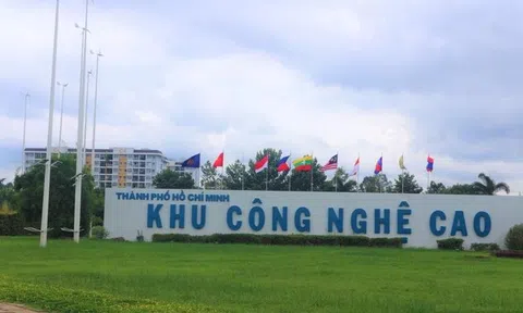 TP.HCM giảm 30% tiền thuê đất, thuê mặt nước cho người bị ảnh hưởng COVID-19