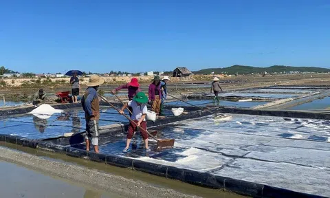 Giá muối cao nhưng diêm dân Bạc Liêu không có muối để bán