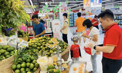 Hỗ trợ nông dân, WinMart đẩy mạnh tiêu thụ cam sành Vĩnh Long