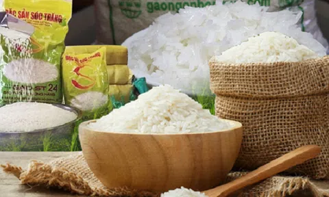 Doanh nghiệp xuất khẩu gạo có nhiều thuận lợi trong năm 2023