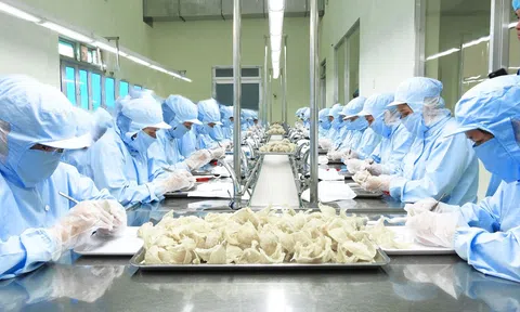 Xuất khẩu chính ngạch sản phẩm tổ yến, cần có mã số và truy xuất nguồn gốc