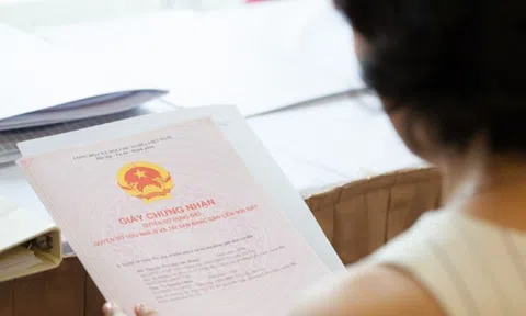 Góp vốn mua đất chung, làm sao để tránh rủi ro?