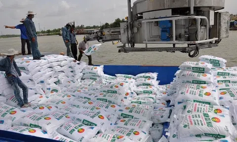 An Giang: Phát triển hoạt động xuất nhập khẩu theo hướng bền vững