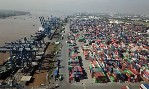 Cơ hội tăng cường giao thương quốc tế từ Chương trình Hộ chiếu logistics thế giới