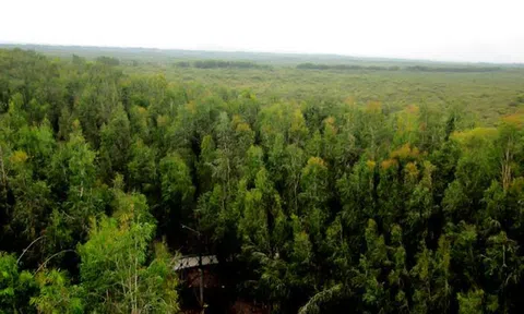 An Giang: Khoanh vùng khu vực trọng điểm, triển khai nhiều biện pháp phòng, chống cháy rừng