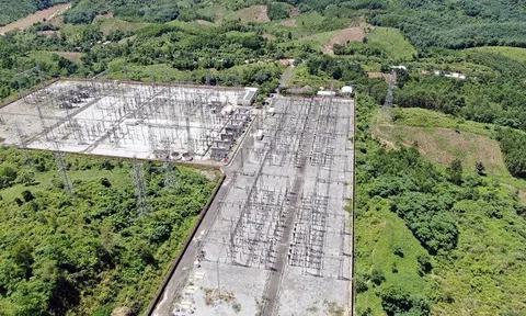 Thí điểm tác động vào rừng tự nhiên để làm các công trình tạm phục vụ thi công đường dây tải điện