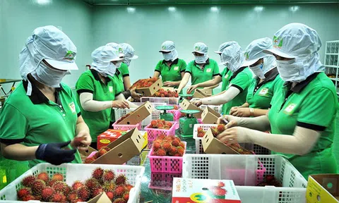 Thúc đẩy tạo thuận lợi xuất khẩu trái cây tươi Việt Nam vào thị trường Hoa Kỳ