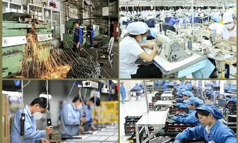 Tự do kinh tế sẽ tạo động lực giúp Việt Nam vượt qua bẫy thu nhập trung bình