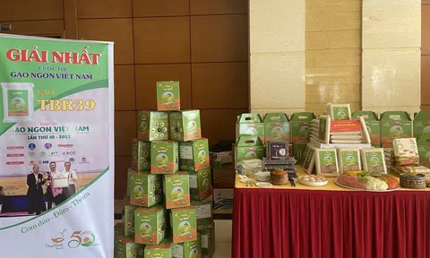 Phát triển thương hiệu lúa, gạo của tỉnh Thái Bình hiệu quả và bền vững