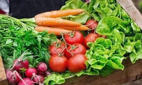 Hiệp hội Nông dân canh tác hữu cơ Đức chia sẻ về tiêu chuẩn nông nghiệp hữu cơ