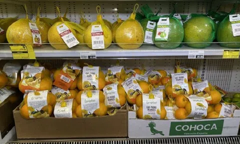 Đặc sản cam Cao Phong của Việt Nam chinh phục thị trường Anh