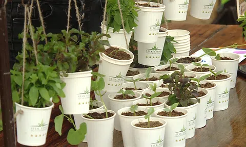 Cộng đồng tham gia du lịch xanh – du lịch sinh thái để bảo vệ môi trường