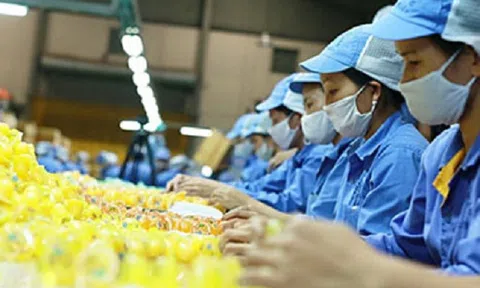 Doanh nghiệp Long Hải đặt mục tiêu sản xuất hơn 56.000 tấn thạch rau câu trong năm 2023