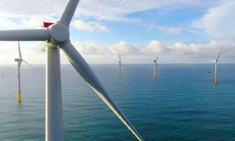 Những vướng mắc về phát triển điện gió ngoài khơi qua "lăng kính" nhà đầu tư