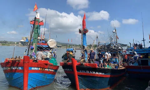 Quảng Ngãi triển khai đợt cao điểm chống khai thác hải sản bất hợp pháp