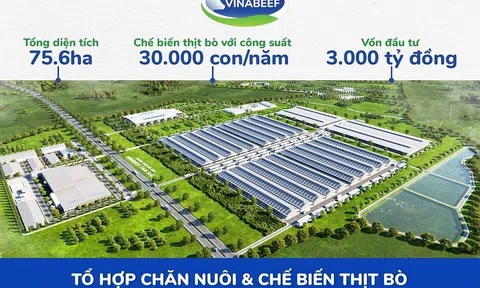 Vĩnh Phúc: Động thổ dự án Tổ hợp chăn nuôi và Chế biến thịt bò Vinabeef Tam Đảo