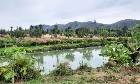 HoREA kiến nghị không ban hành “bảng giá đất hàng năm”