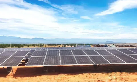 Nhà đầu tư dự án điện mặt trời, điện gió kiến nghị Chính phủ ban hành cơ chế giá điện mới