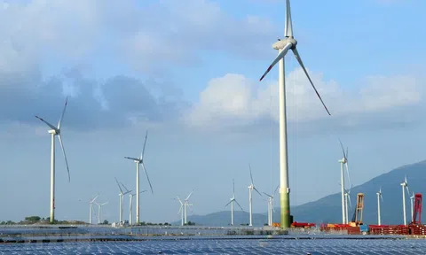 Cục Điều tiết điện lực giải đáp các kiến nghị của nhà đầu tư dự án điện gió, điện mặt trời chuyển tiếp