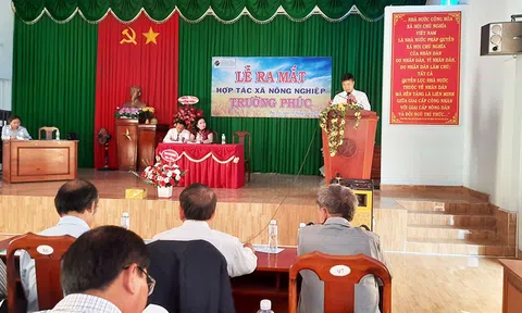 Bình Thuận: Ra mắt Hợp tác xã Nông nghiệp Trường Phúc