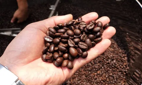 Việt Nam là nguồn cung cà phê lớn nhất cho Tây Ban Nha