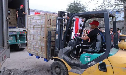 Hòa Bình xuất khẩu thành công lô mía tươi đầu tiên sang Mỹ