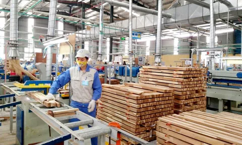 Phát triển Tuyên Quang thành trung tâm chế biến gỗ bền vững