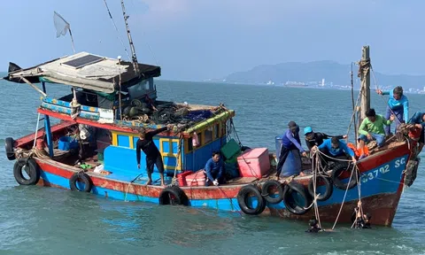 TP. Hồ Chí Minh: Chìm tàu cá 6 người được cứu sống, 1 người tử vong