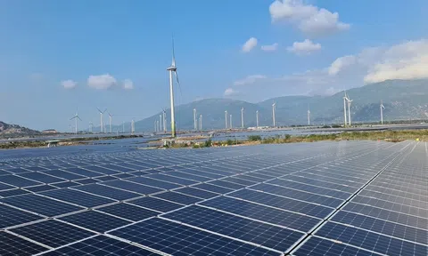 Bộ Công Thương yêu cầu thống nhất giá điện điện gió, mặt trời chuyển tiếp trước ngày 31/3