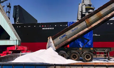 Tổng Công ty Phân bón và Hóa chất Dầu khí xuất khẩu lô hàng 19.000 tấn phân đạm urê