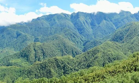 Myanmar nỗ lực bảo vệ rừng nhằm đảm bảo duy trì đa dạng sinh học