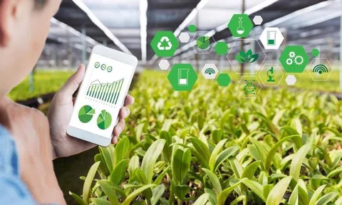 Các ứng dụng trí tuệ nhân tạo đang thay đổi mạnh mẽ sản xuất nông nghiệp