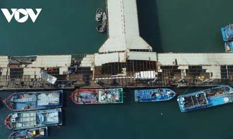 Bình Định sẽ tu sửa Cảng cá Đề Gi