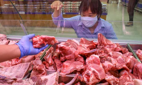 Lào tạm ngừng nhập khẩu không ảnh hưởng lớn đến tiêu thụ thịt heo trong nước