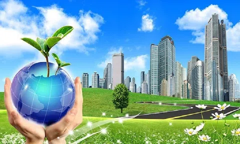 Chuyên gia Bắc Âu chia sẻ giải pháp xanh cho nền kinh tế tuần hoàn