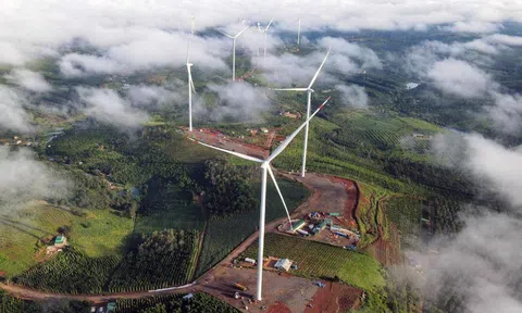 Cộng đồng doanh nghiệp đóng vai trò quan trọng trong Chiến lược quốc gia về tăng trưởng xanh