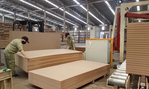 Hoa Kỳ gia hạn điều tra lẩn tránh phòng vệ thương mại với gỗ dán Việt Nam