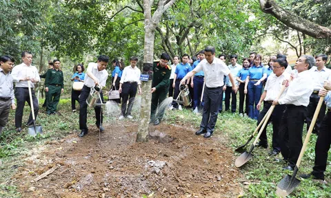Công ty Supe Lâm Thao trồng 300 cây xanh tại Khu Di tích lịch sử K9 Đá Chông