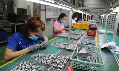 Tổng cục Thống kê tiến hành tổng điều tra doanh nghiệp năm 2023