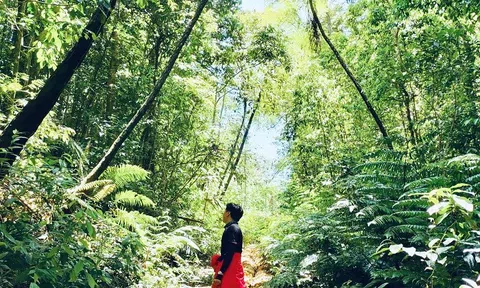 Độc đáo mô hình du lịch sinh thái của nhóm dược sĩ trẻ