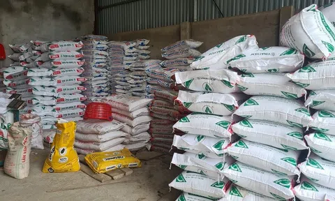 Hà Giang: Đình chỉ hộ kinh doanh phân bón không có giấy chứng nhận đủ điều kiện buôn bán