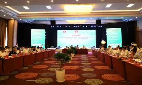 Tây Nguyên: Phát triển kinh tế gắn với quản lý, bảo vệ và phát triển rừng