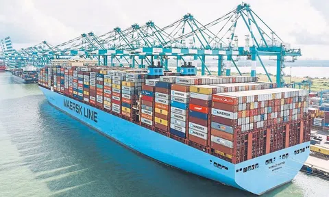 Tổ chức Thương mại Thế giới dự báo tăng trưởng thương mại toàn cầu tiếp tục ở mức thấp trong năm 2023